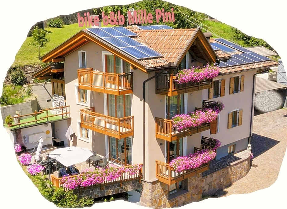 Bike Bed&Breakfast Mille Pini