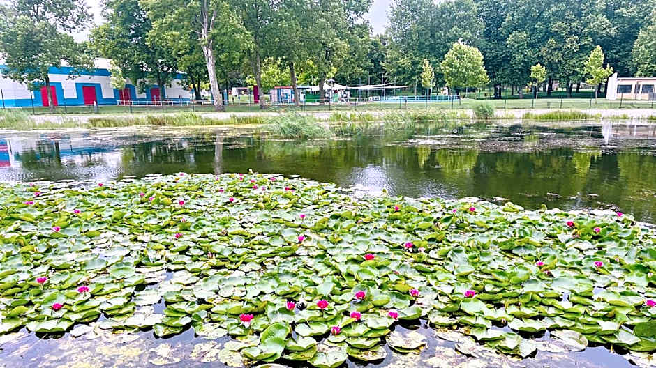 Gyöngy apartman
