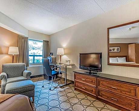 Deluxe King Room with Sofa Bed