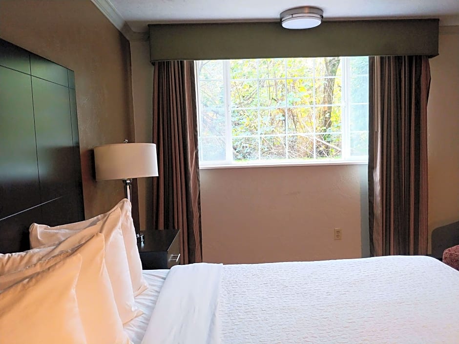 Photo 1 of 3 of 1 King Bed, Mobility Accessible, Roll in Shower