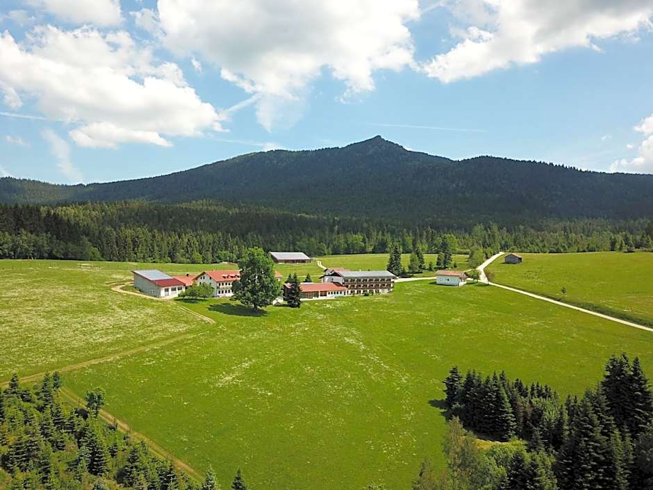 Osserhotel - B&B am Osser