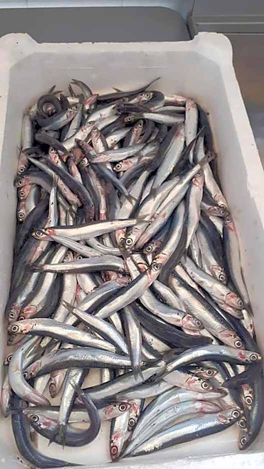 La Valle Verde hotel ristorante pizzeria