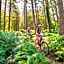 The Sherwood Hideaway Lodges