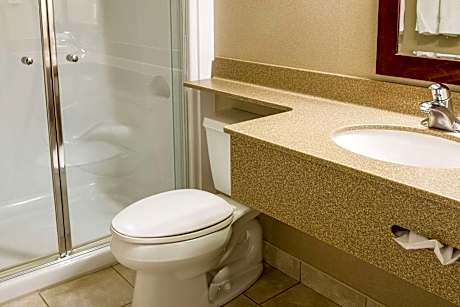 1 King Bed Suite, Upgrade, different building