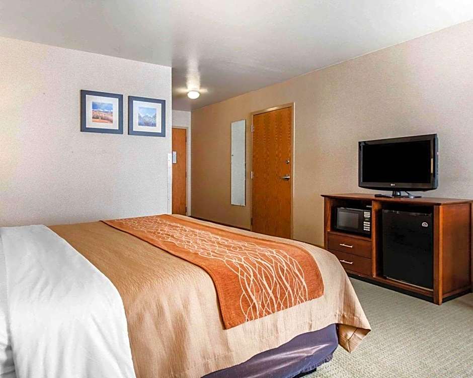 Comfort Inn Salida