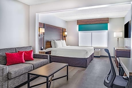 1 King Bed Non-Smoking
