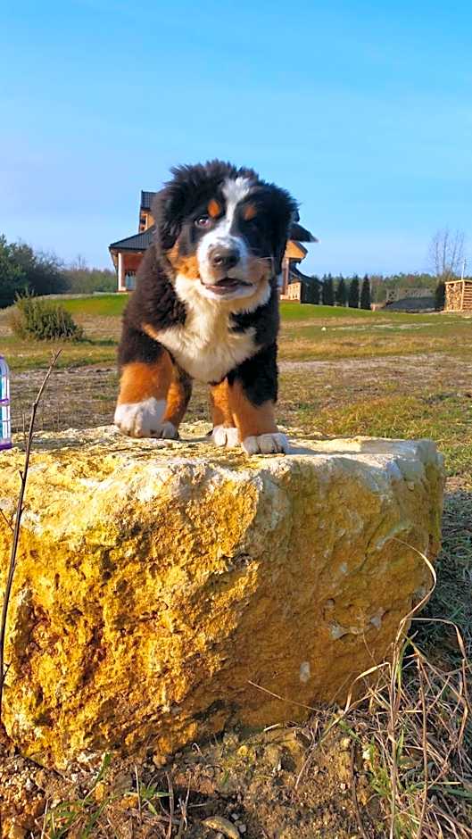 Kompleks Małe Dolomity