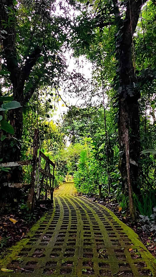 Finca Luna Nueva Lodge