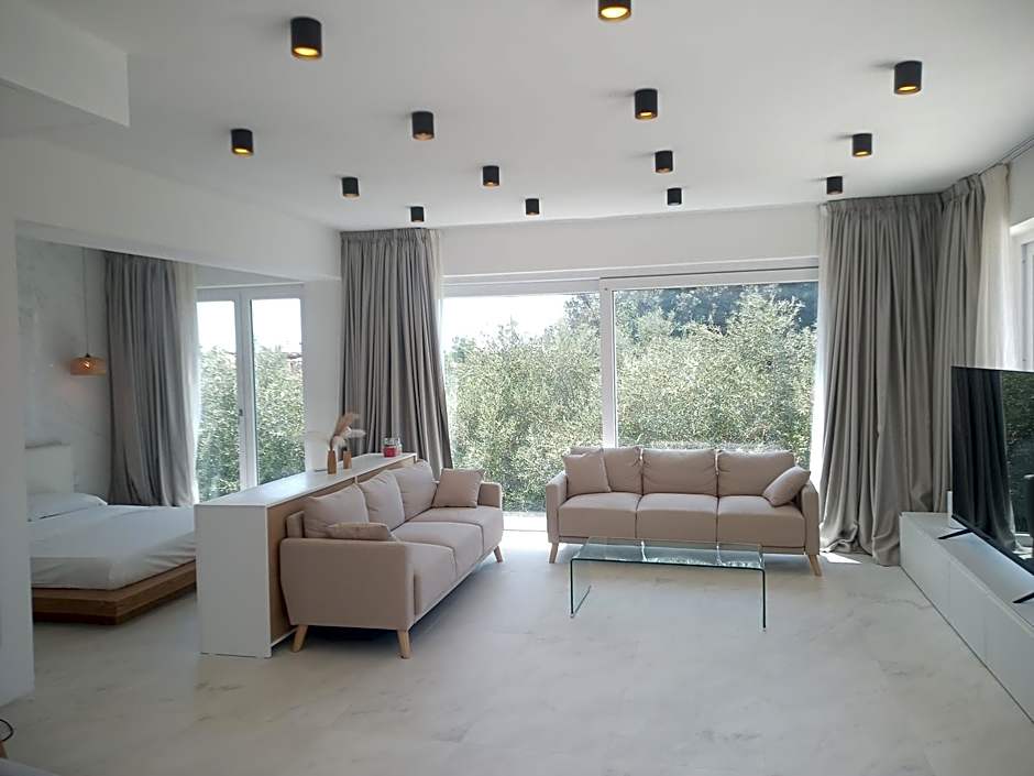 Smart Luxury Suites & Apartments