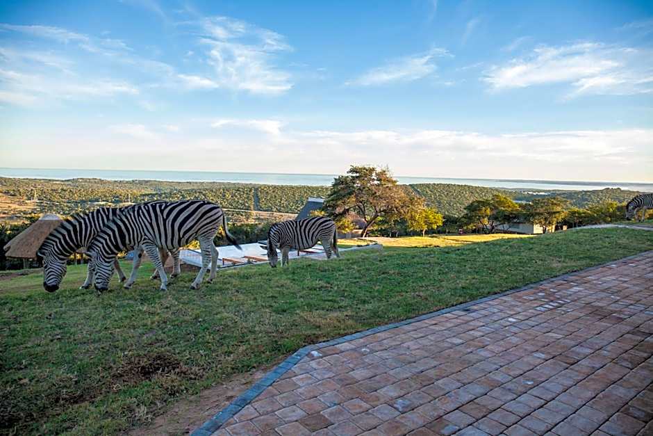 JBay Zebra Lodge