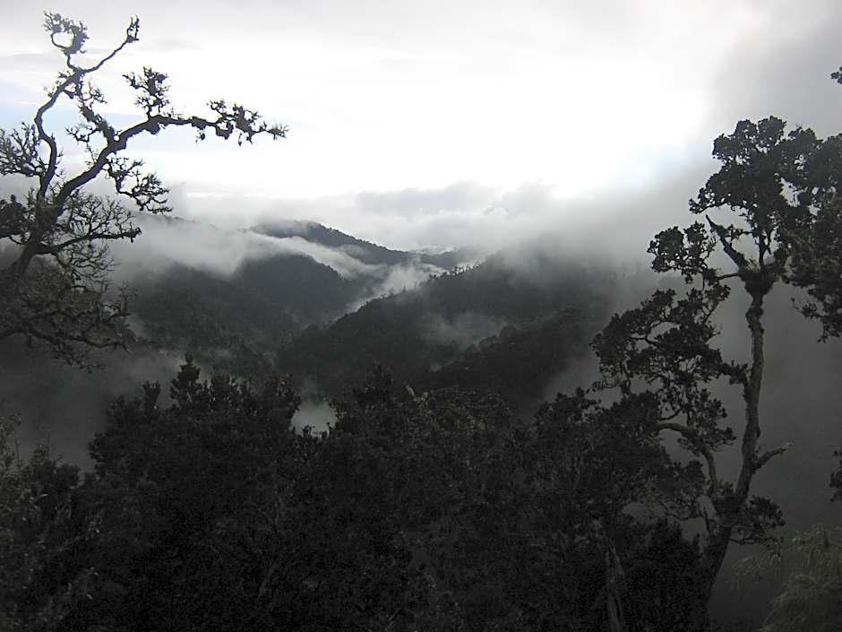 Dantica Cloud Forest Lodge