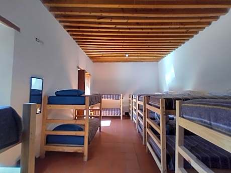 Single Bed in Mixed Dormitory Room