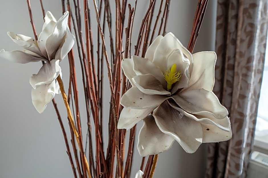 F57 - Frankó Családi Panzió