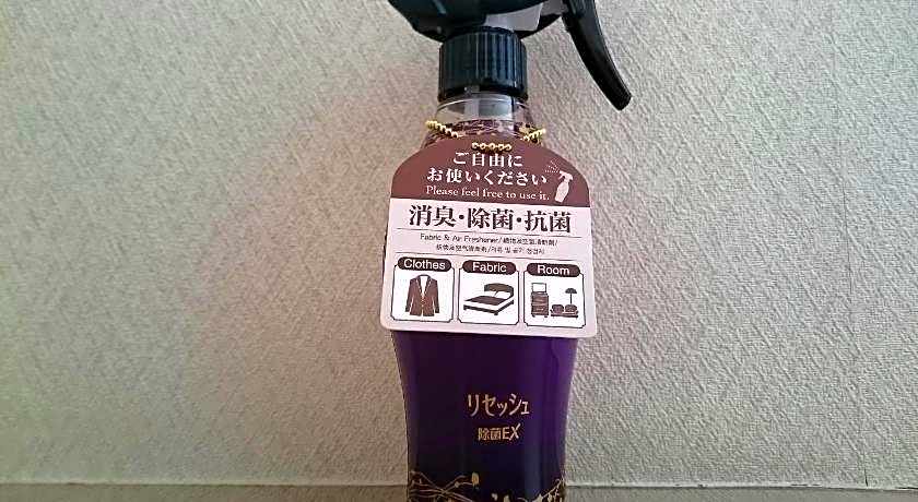 Hotel Lakeland Hikone