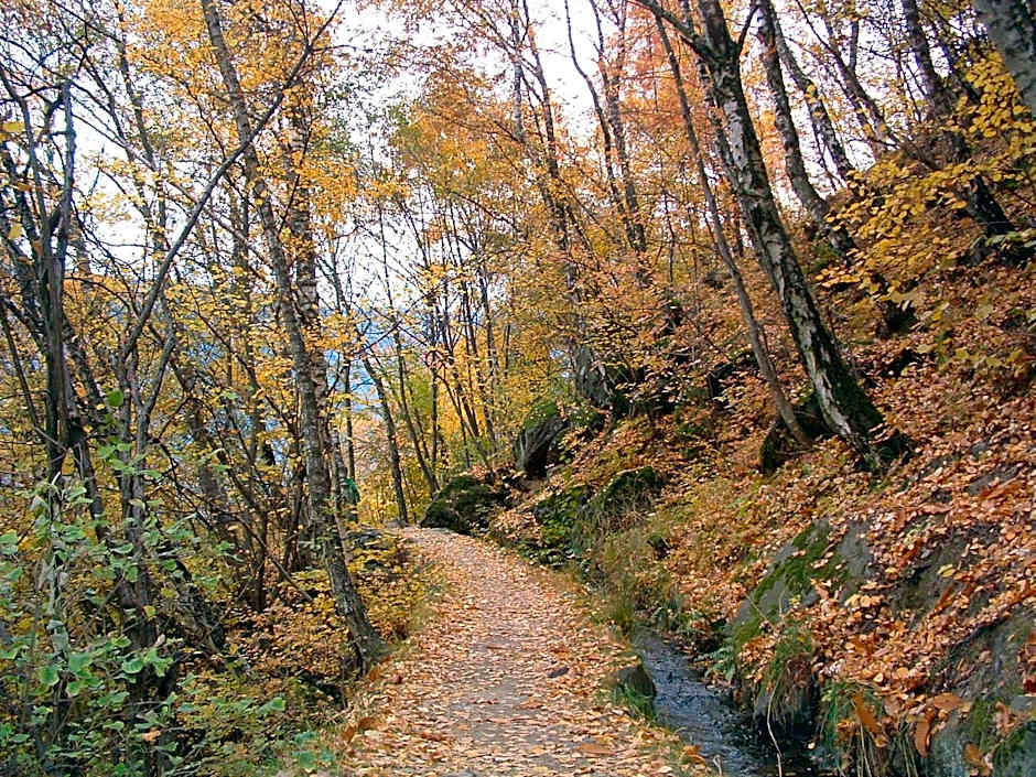 Appartements Lenzenhof