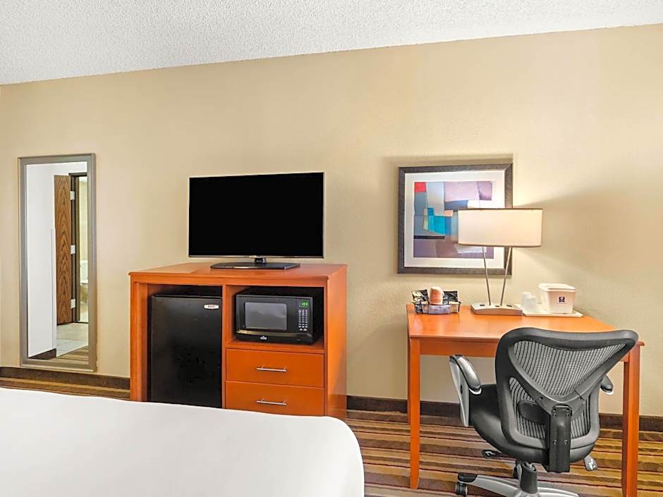 Comfort Inn Metro Airport Romulus