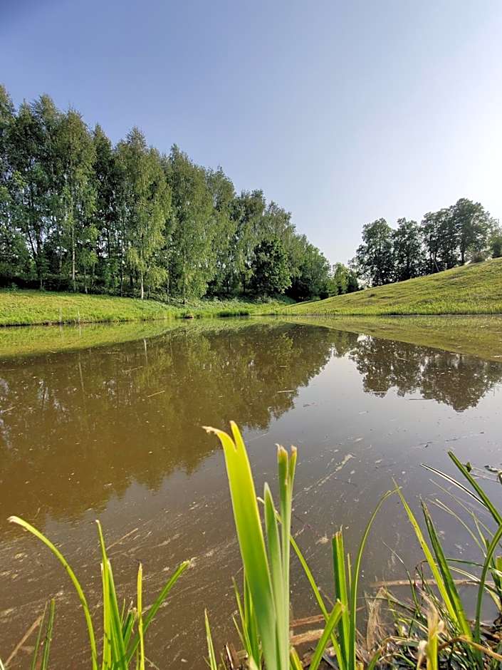 Žalioji