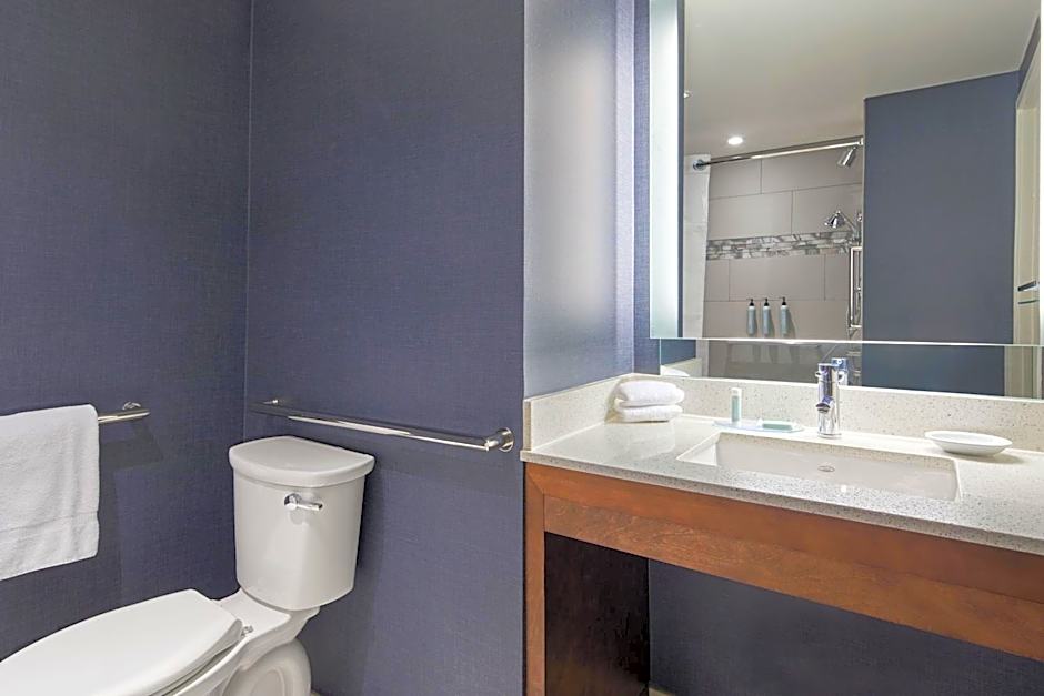 Residence Inn by Marriott Atlanta Perimeter Center/Dunwoody