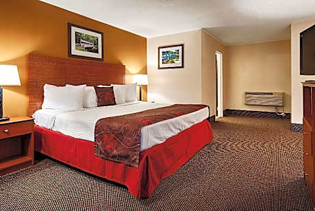 1 King Bed Non-Smoking