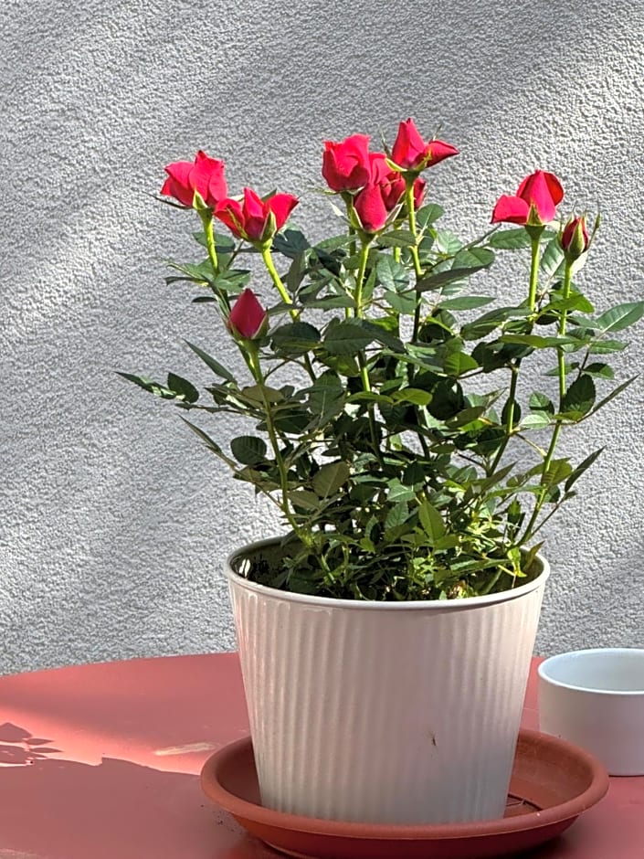 La dimora di Augusto