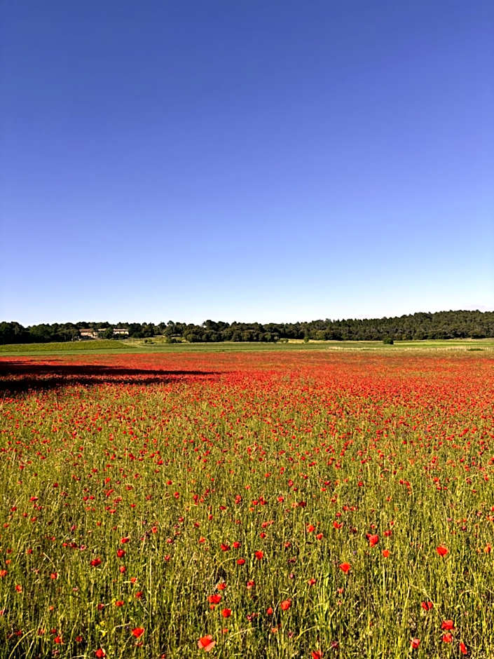 Domaine du Commandeur