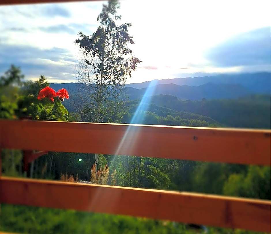 Cabana doi mesteceni