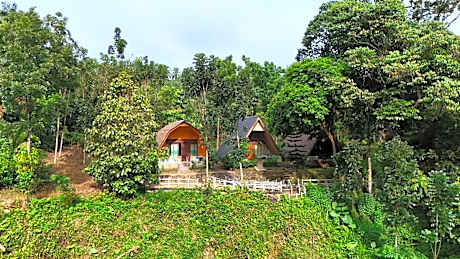 Green Forest Tangkahan