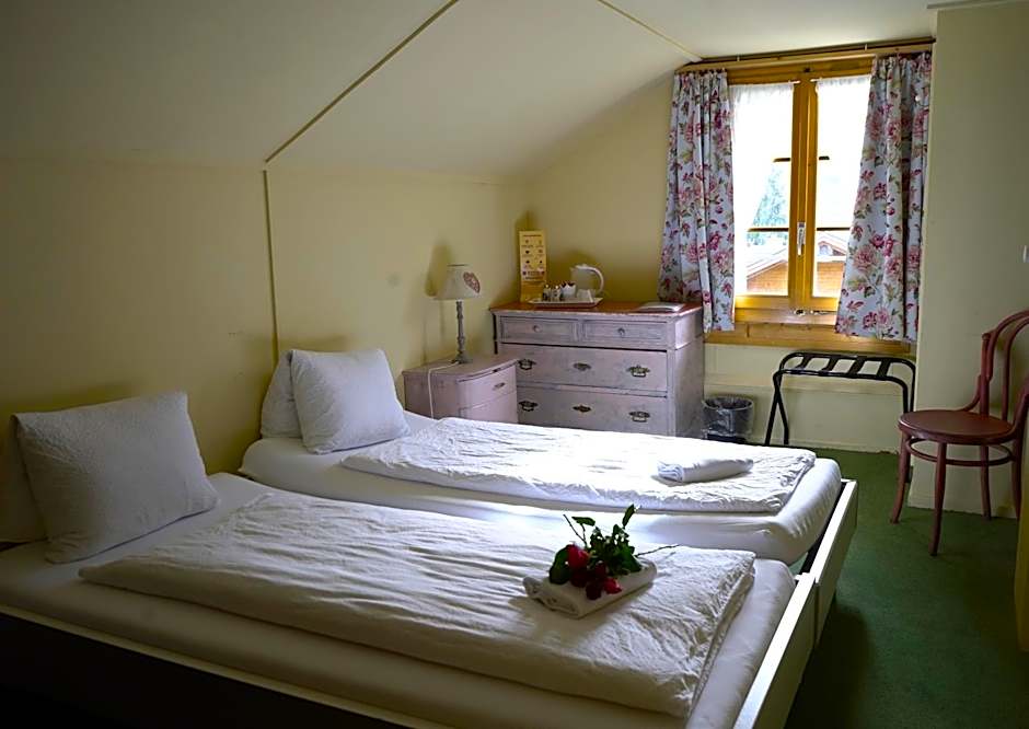 Edelweiss Lodge