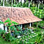 Jungle House - surf & stay