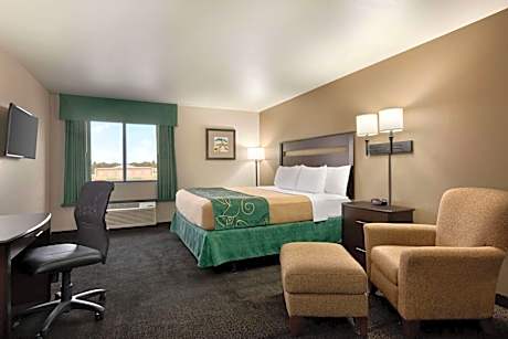 Deluxe King Room