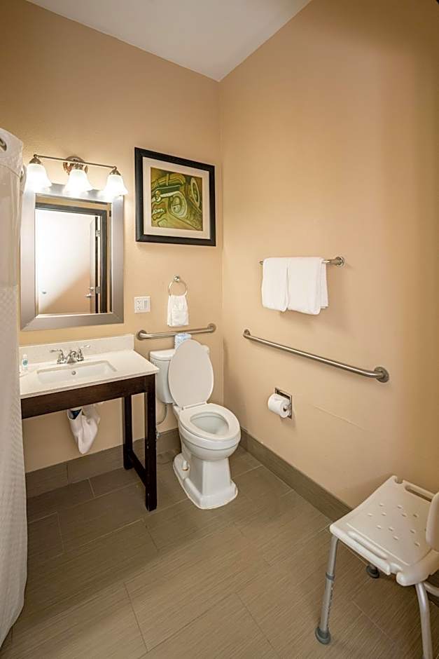 Comfort Suites Houston