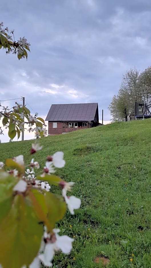 Casa din Deal-Apuseni