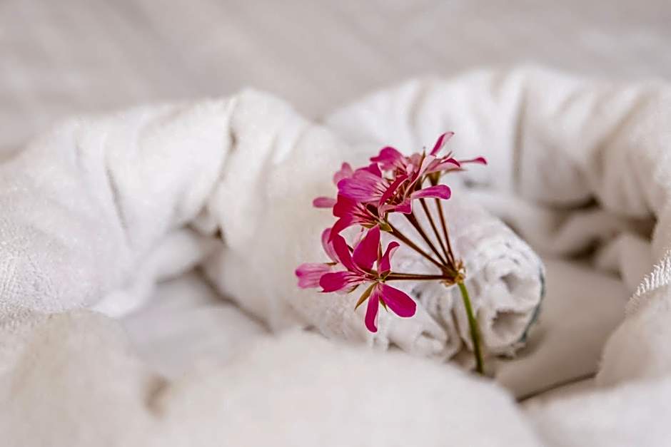 Domačija Vodnik & Apartments