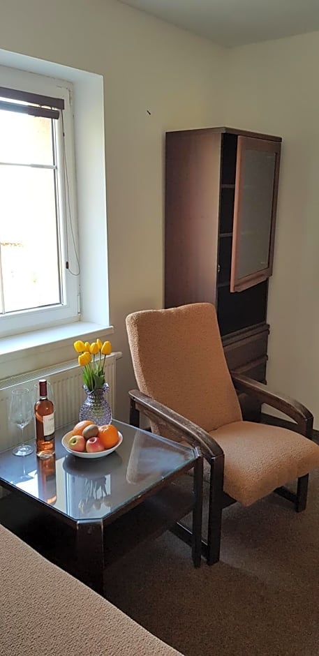 Penzion CERNY MLYN SOKOLOV