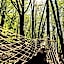 Robinzonski turizam "Robin` s Hood"