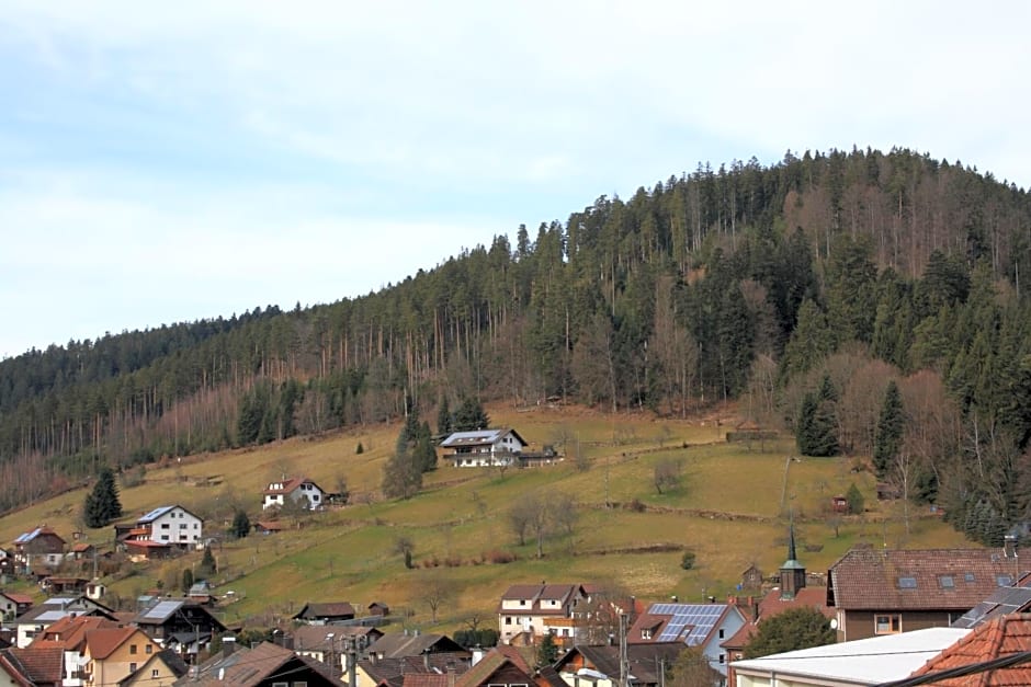 Schwarzwald-Gasthof Hirsch