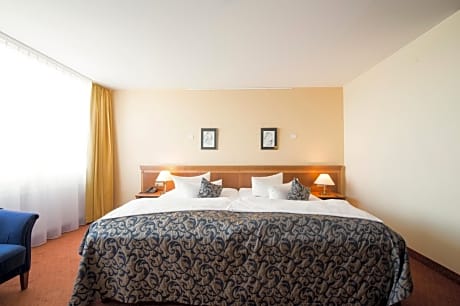 Junior Suite with Basel or Mountain View (free mini-bar and coffee machine)