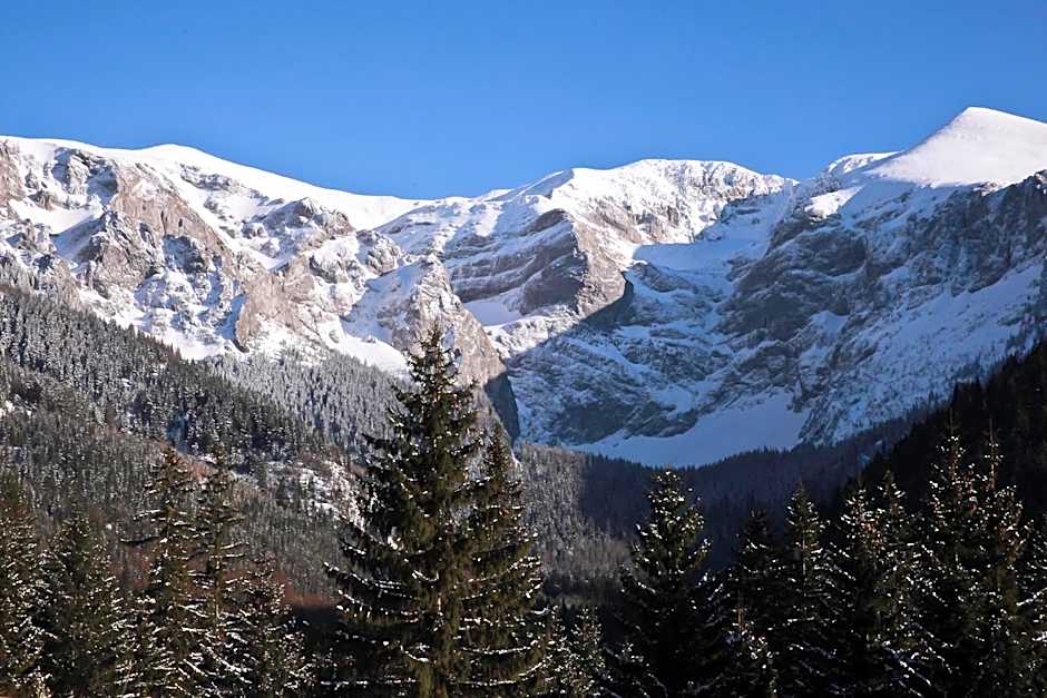 Leśniczówka u Zięby