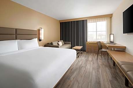 Guest room, 1 King, Sofa bed