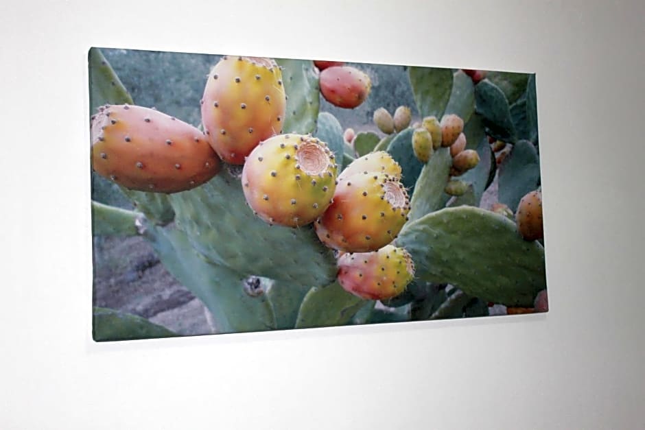 Baglio Gammicchia B&B