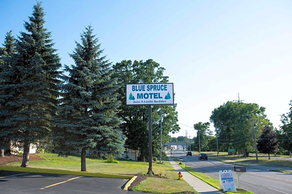 Blue Spruce Motel