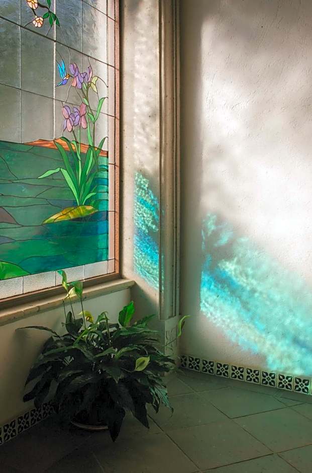 La Buena Vibra Wellness Resort & Spa