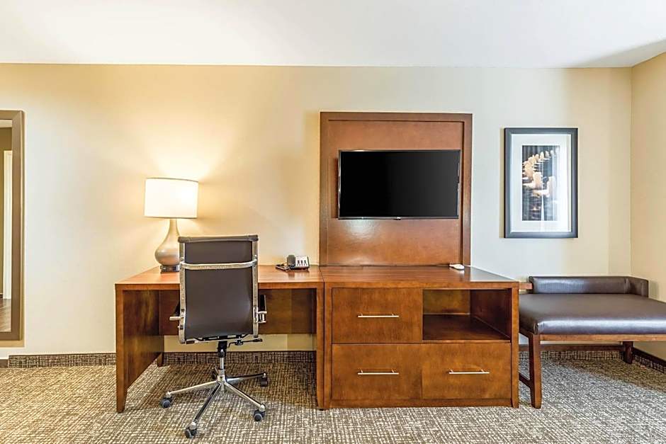 Comfort Suites Channelview - Houston East