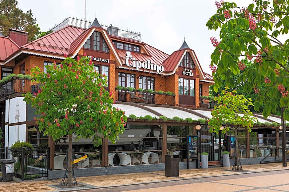 Cipolino