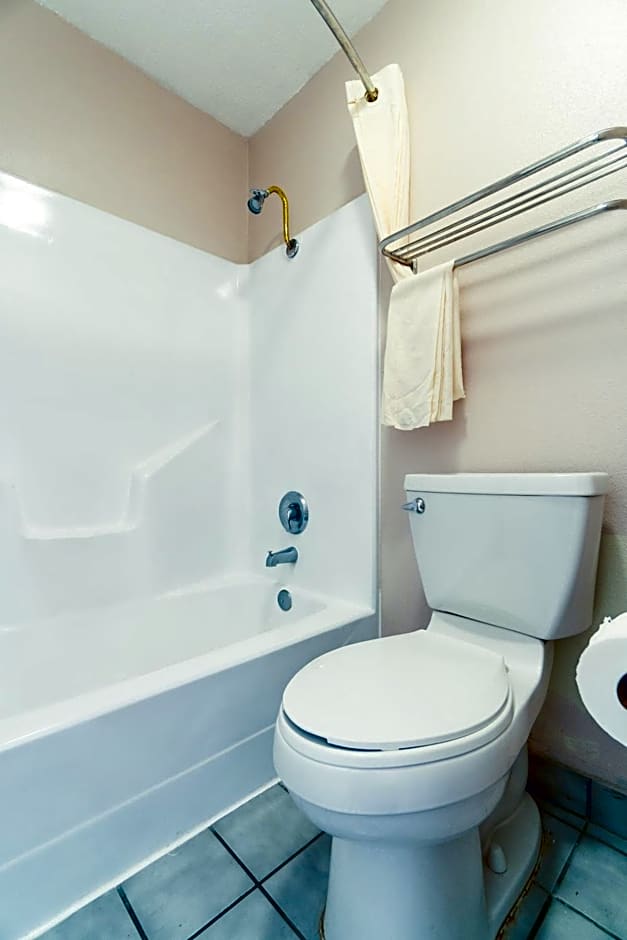 Regency Inn Three Rivers I-37