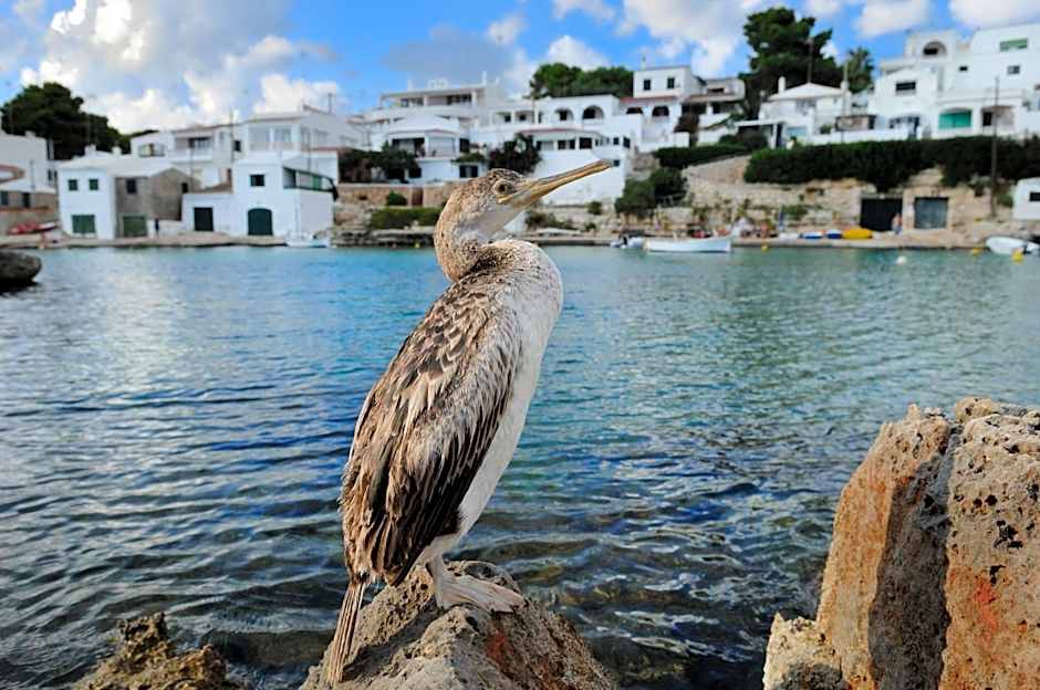 Alcaufar Vell Hotel Rural & Restaurant