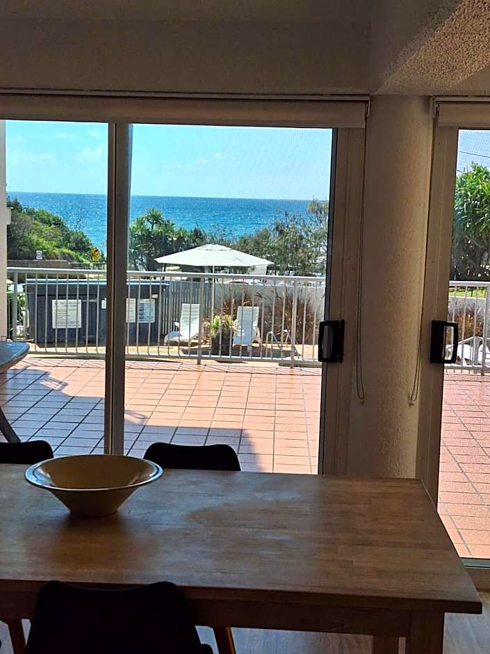 Pandanus Coolum Beach