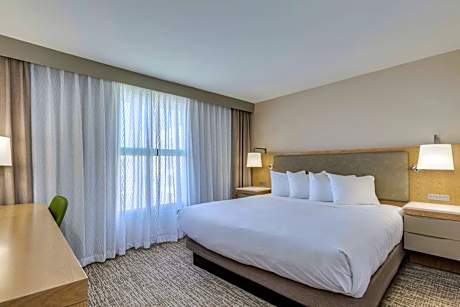 One-Bedroom King Suite with Sofa Bed