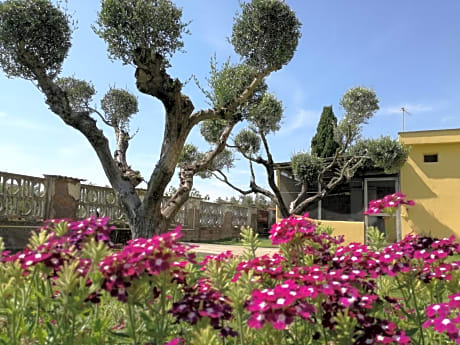 B&B Casa degli Ulivi