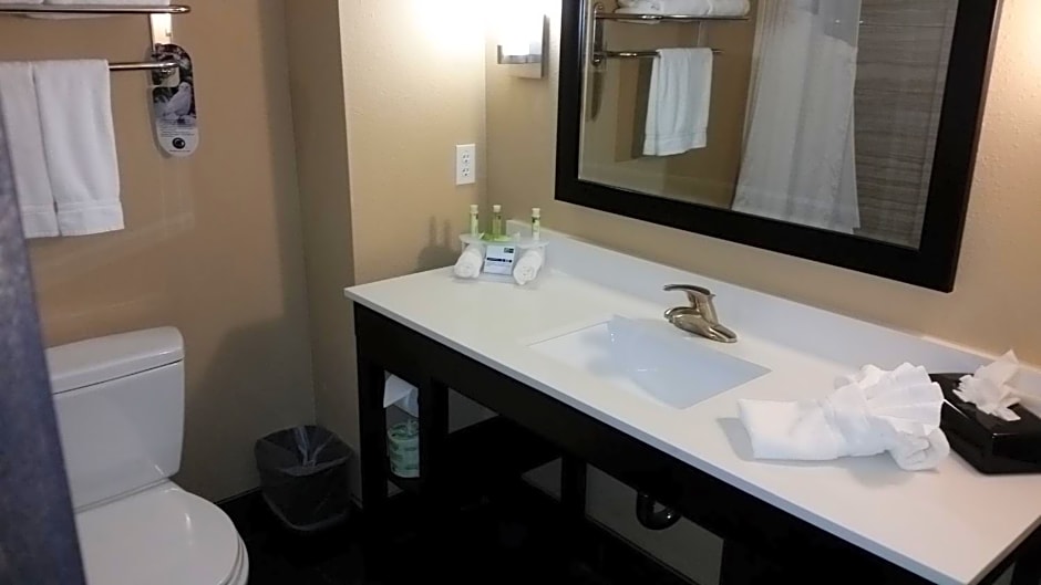 Holiday Inn Express and Suites Atascocita - Humble - Kingwood By IHG